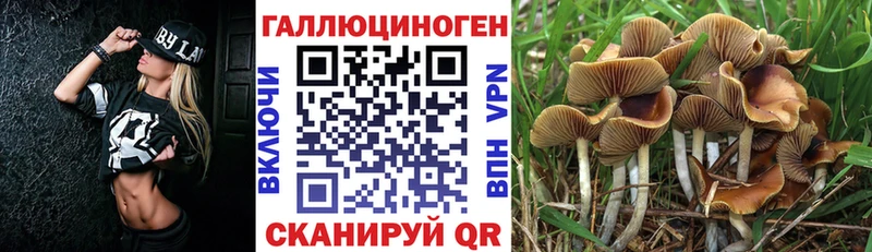 Псилоцибиновые грибы GOLDEN TEACHER hydra как зайти Саров